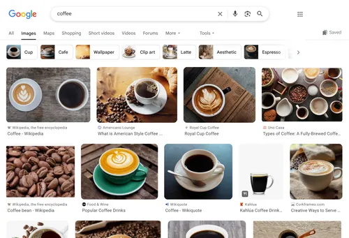 Image Search Results