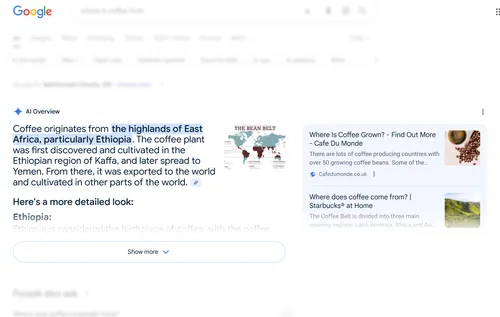 AI Overview
