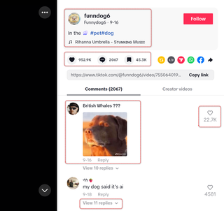 How to Scrape TikTok with Python | HasData